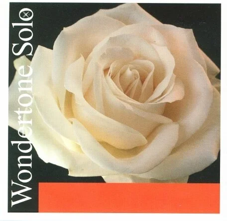 Pirastro Wondertone Solo Violin Strings — Montgomery Violins